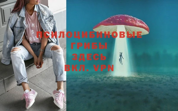 МДПВ Армянск