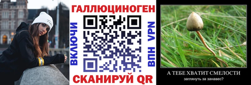продажа наркотиков  Белово  Галлюциногенные грибы Psilocybe 